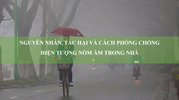 Hiện tượng nồm ẩm trong nhà: Nguyên nhân, tác hại và cách phòng chống hiệu quả
